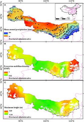 Ecosystem multifunctionality, maximum height, and biodiversity of shrub communities affected by precipitation fluctuations in Northwest China